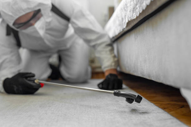 Professional Bed Bug Control technician working in West Milton, OH
