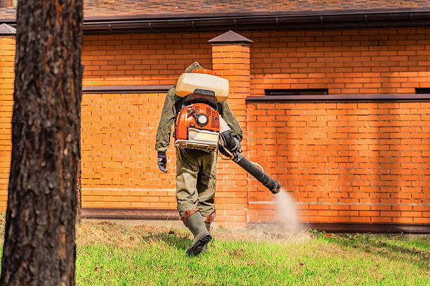 Trusted Ant Control service in West Milton, OH - Nex Pest Control